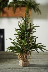 Real-Touch Pine Tree with Pinecones - Stockhute