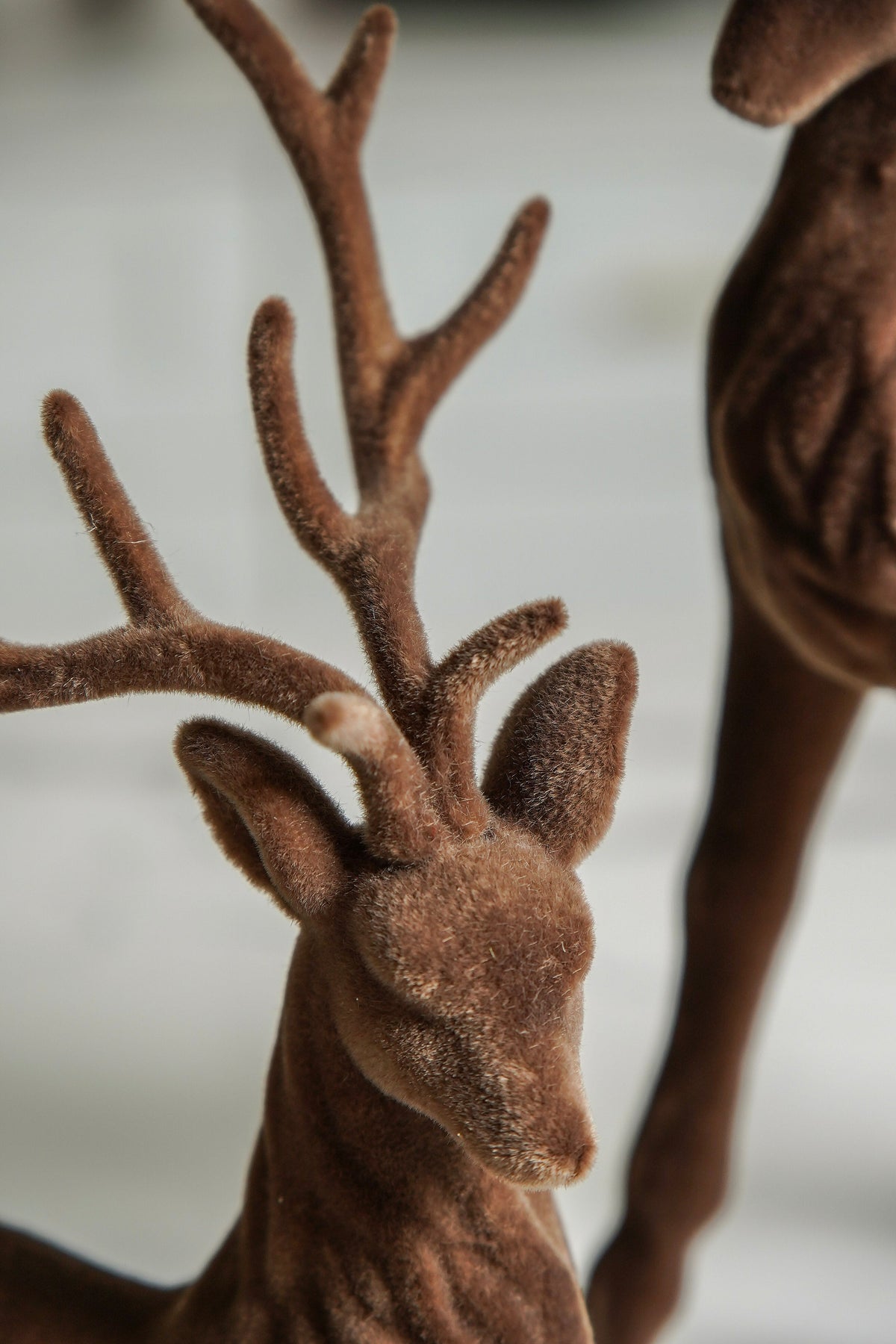 Velvet-Flocked Deer Set of 2 - Stockhute