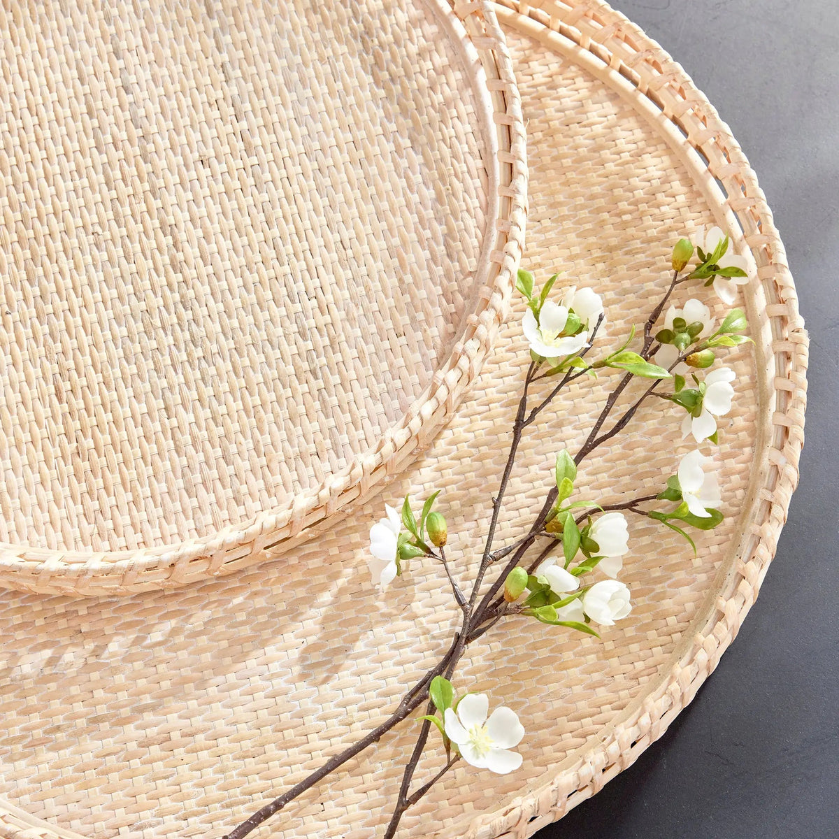 Barri Woven Rattan Tray Set - Stockhute