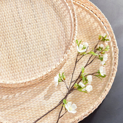 Barri Woven Rattan Tray Set - Stockhute